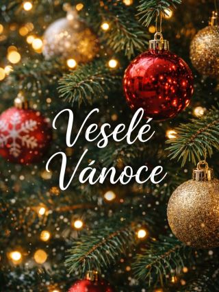 🎄 Veselé Vánoce 🎄 Děkujeme všem, kteří nás letos podpořili, objednali si u nás a pomohli Megapotisku růst ❤️ Každá...